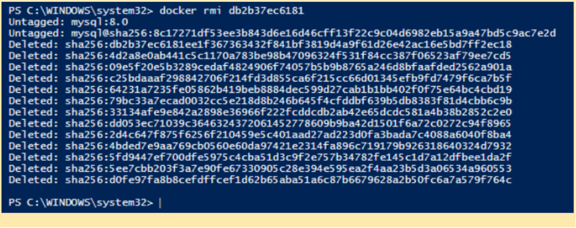 Using docker rmi command to remove an image